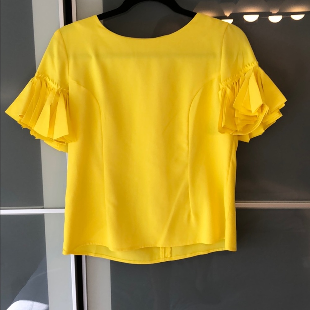 Stunning fluttered sleeve top